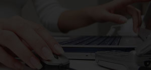Phelix Web Solution